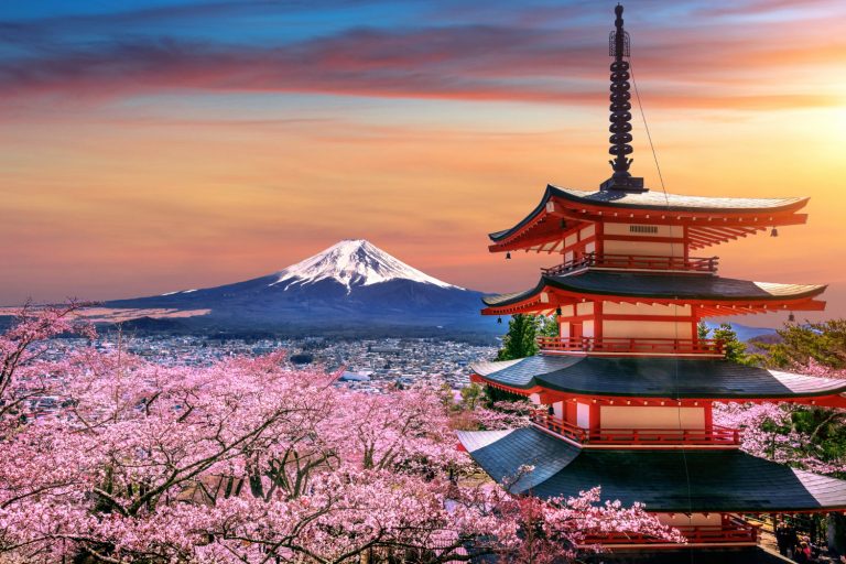 flores cerezo primavera pagoda chureito montana fuji al atardecer japon