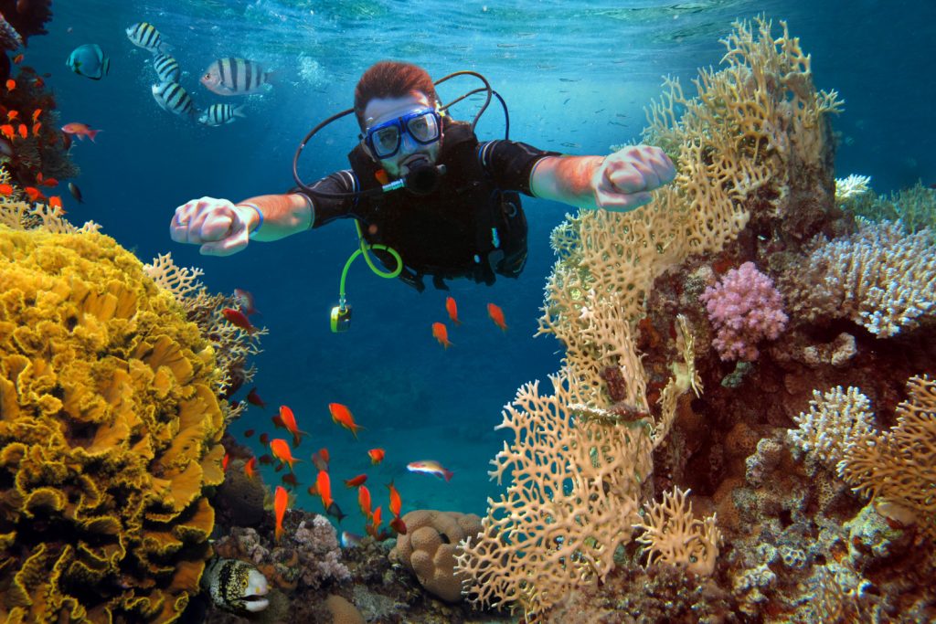hombre feliz zambulle corales peces oceano